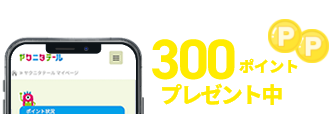 banner-300point-02